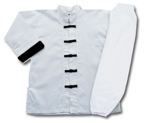 Kung Fu Suit